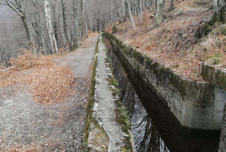 CANALE MOLINERA